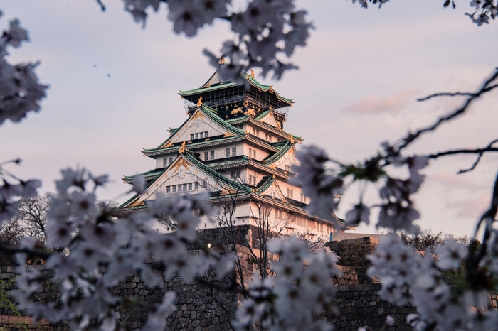 Japan Highlights Osaka Nara Kyoto